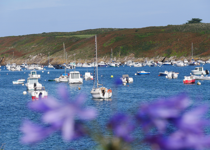 Vue du port du Conquet et de sa ria. Au loin on aperçoit la presqu'île de Kermorvan lors d'un randonnée guidée Terre d'écume.