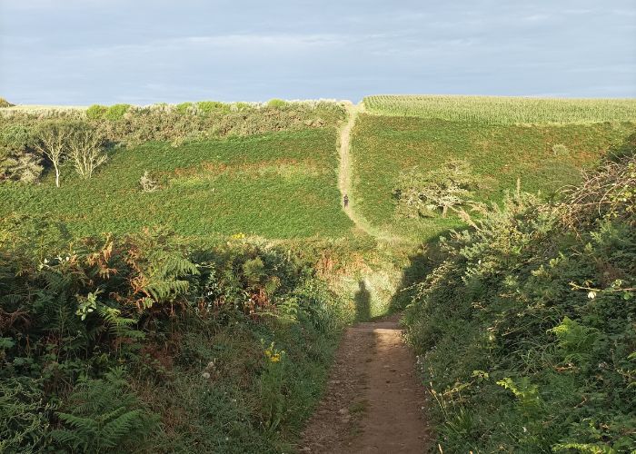 Champ vert avec un chemin de terre sur le sentier côtier GR34 en Bretagne, qui remonte en une pente ardue. Les flancs sont verdoyants et au centre du sentier on voit M. G qui réalise de la marche afghane pendant son coaching personnalisé Terre d'écume.